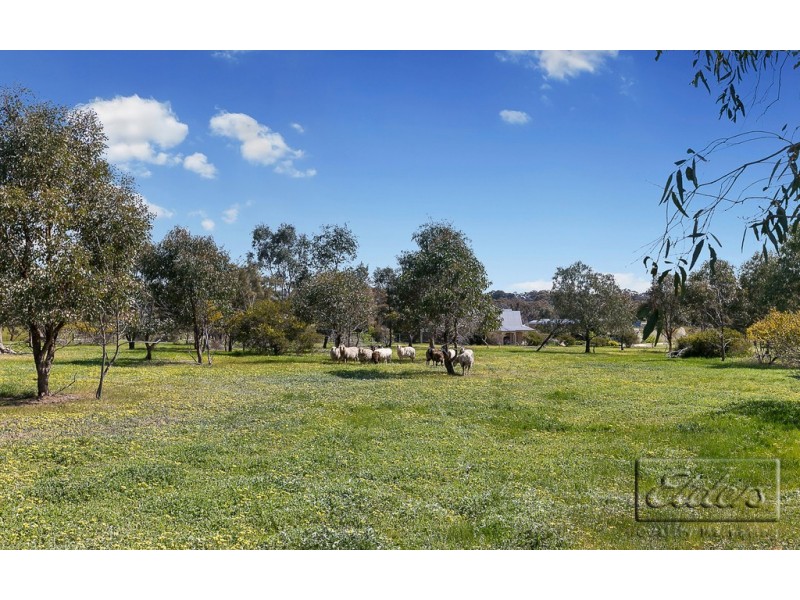 323 Wild Cherry Road, Lockwood South VIC 3551