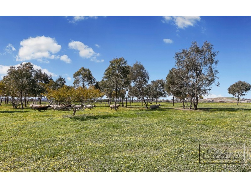 323 Wild Cherry Road, Lockwood South VIC 3551