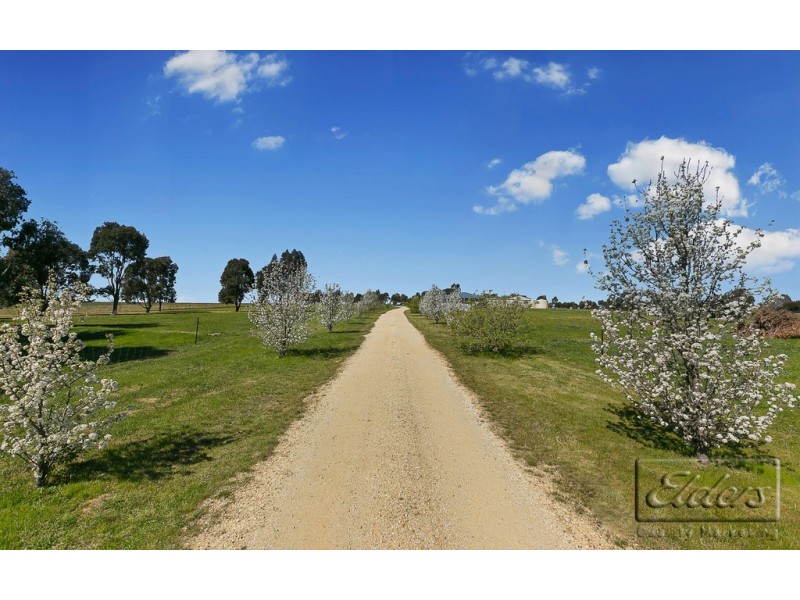 323 Wild Cherry Road, Lockwood South VIC 3551