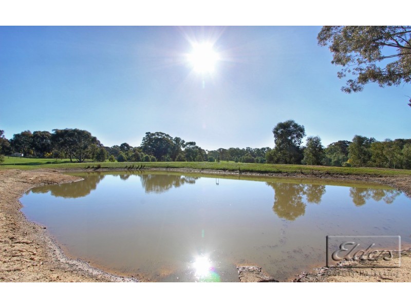 Lot 3 Reyn Road, Sedgwick VIC 3551