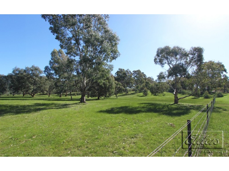 Lot 3 Reyn Road, Sedgwick VIC 3551