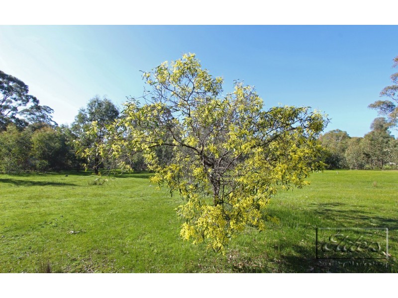 Lot 3 Reyn Road, Sedgwick VIC 3551