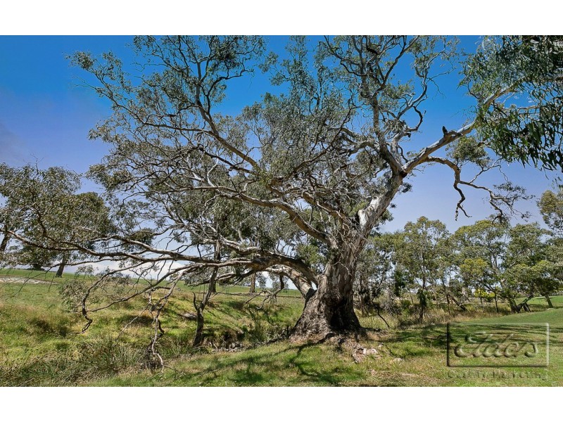 191 Fenton Drive, Harcourt North VIC 3453