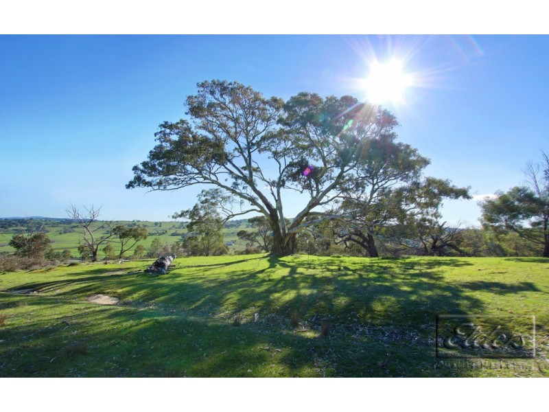 59 Barker Road, Harcourt North VIC 3453