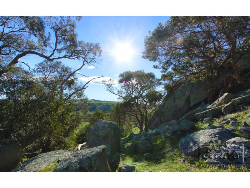 59 Barker Road, Harcourt North VIC 3453