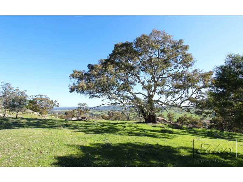 59 Barker Road, Harcourt North VIC 3453