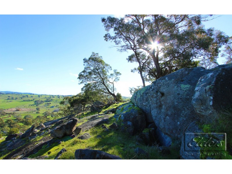 59 Barker Road, Harcourt North VIC 3453