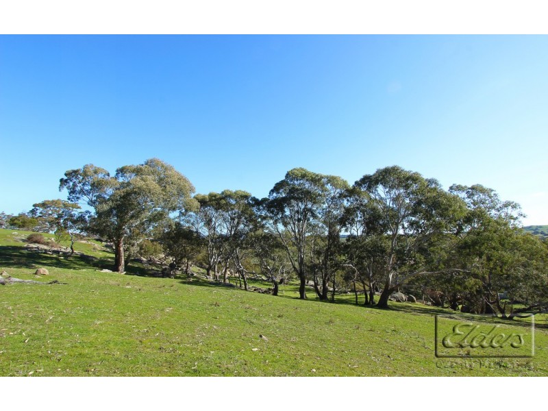 59 Barker Road, Harcourt North VIC 3453