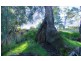 Lot 10 Axedale – Goornong Road, Axedale VIC 3551