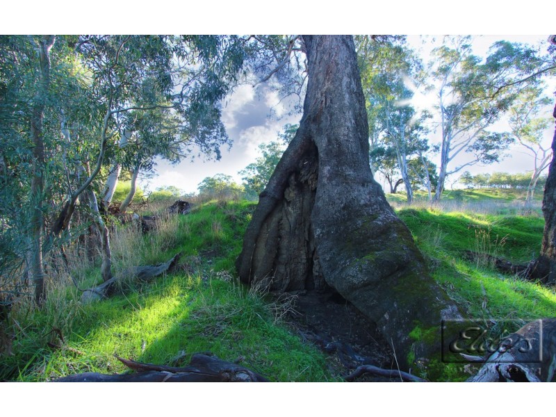 Lot 10 Axedale – Goornong Road, Axedale VIC 3551