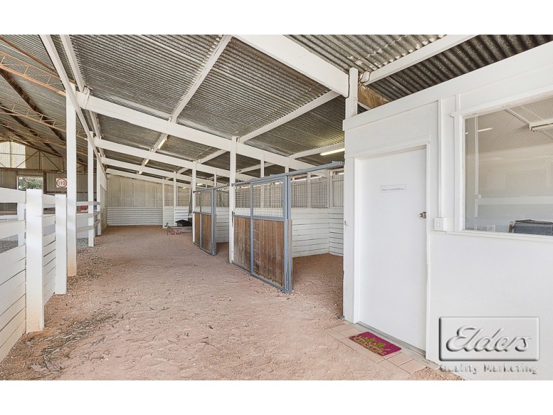 99 Murphy Lane, Longlea VIC 3551