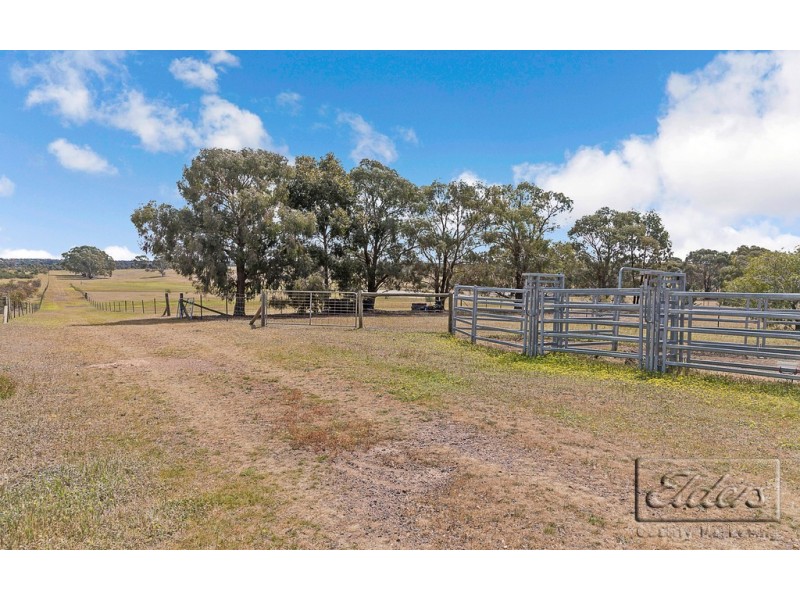 99 Murphy Lane, Longlea VIC 3551