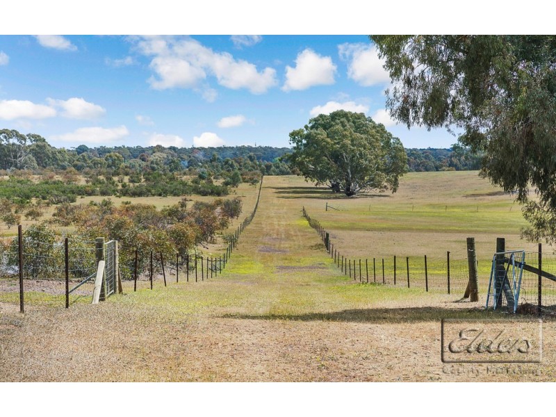 99 Murphy Lane, Longlea VIC 3551