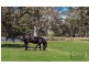 61 Waterfalls Road, Mount Macedon VIC 3441