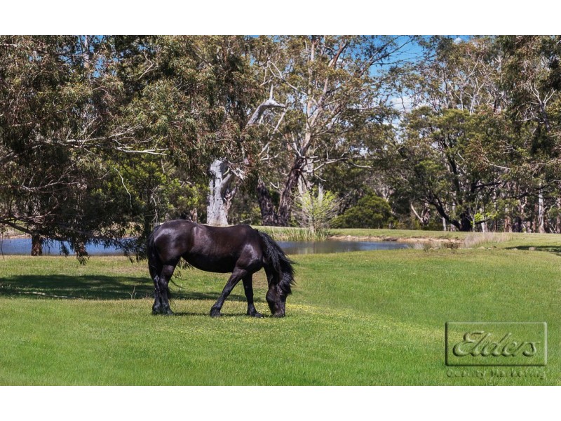 61 Waterfalls Road, Mount Macedon VIC 3441