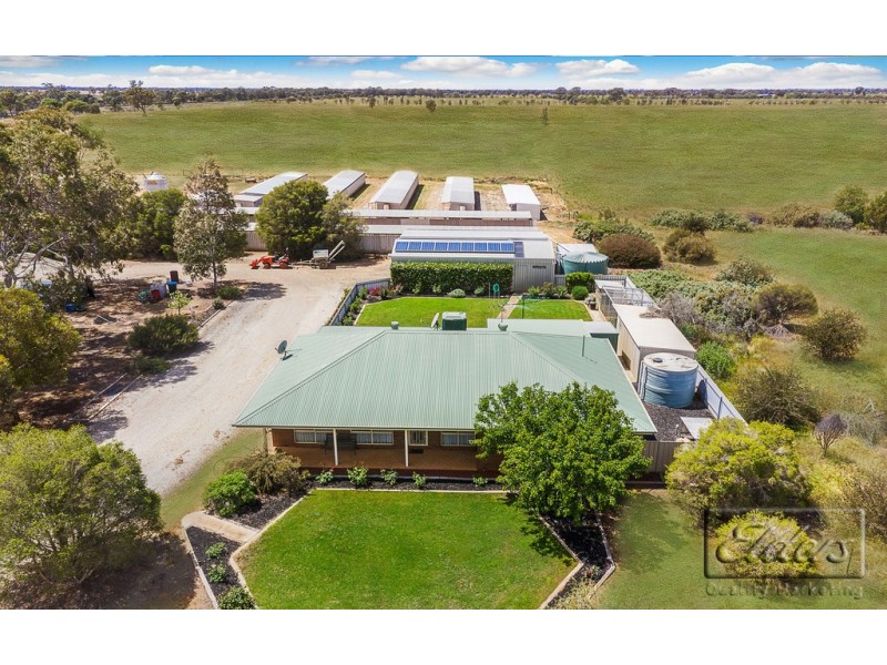 5998 Loddon Valley Highway, Bears Lagoon VIC 3517