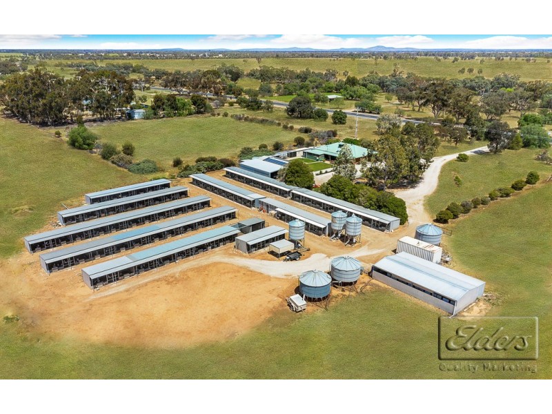 5998 Loddon Valley Highway, Bears Lagoon VIC 3517