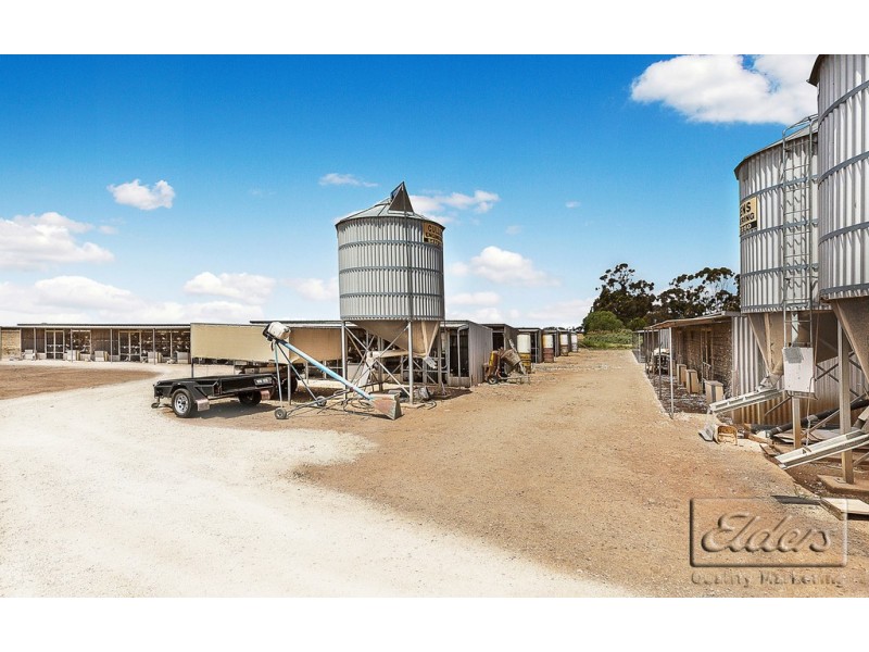 5998 Loddon Valley Highway, Bears Lagoon VIC 3517