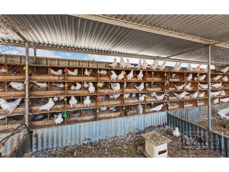 5998 Loddon Valley Highway, Bears Lagoon VIC 3517