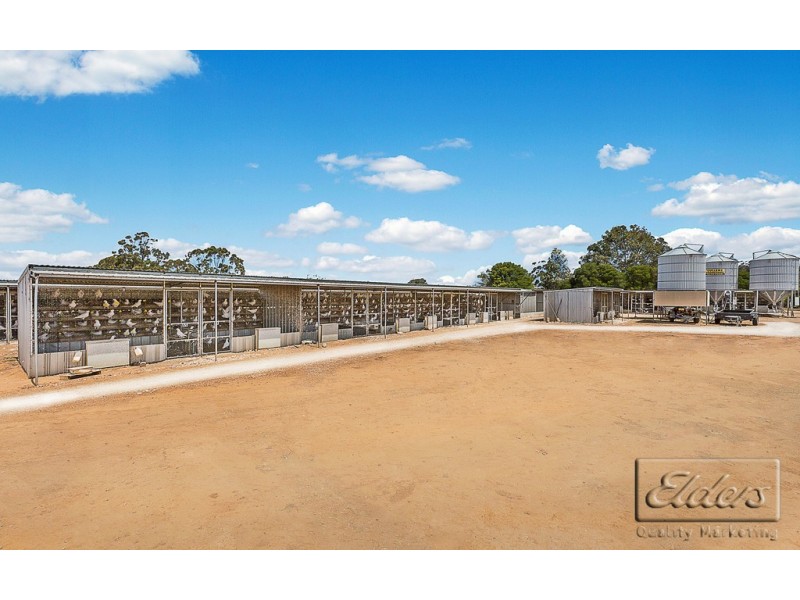 5998 Loddon Valley Highway, Bears Lagoon VIC 3517
