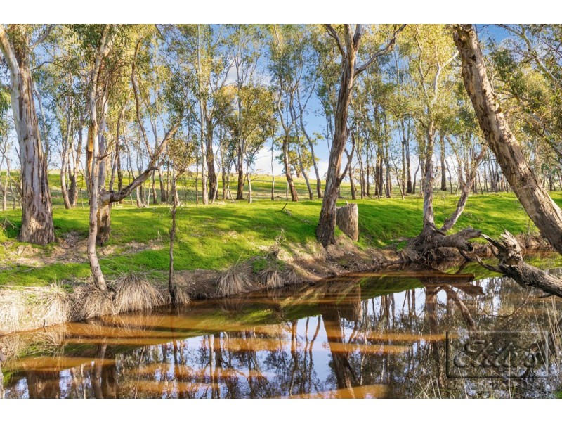 Lots 1,2,3/225 Sugarloaf Road, Axedale VIC 3551