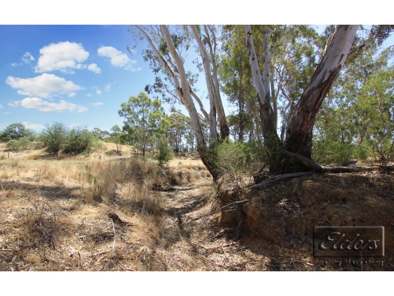 Cnr Mandurang Road and Nankervis Road, Mandurang VIC 3551