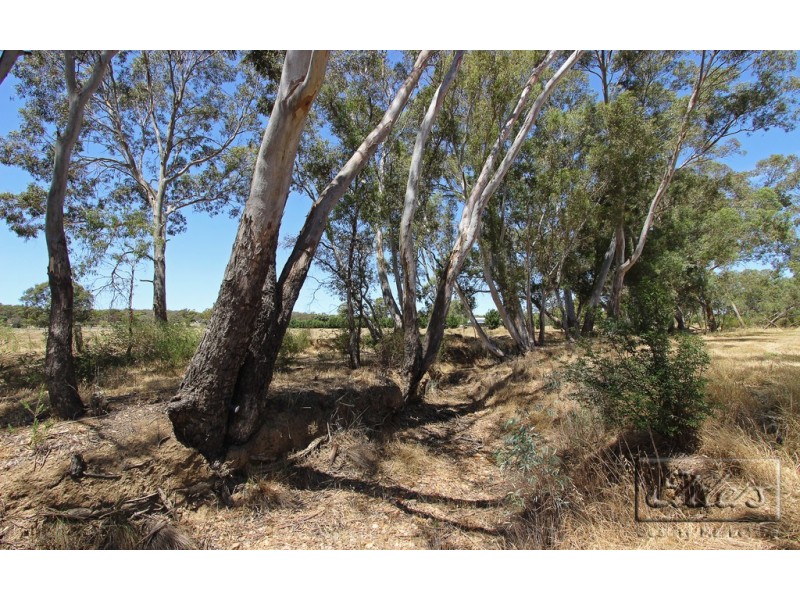 Cnr Mandurang Road and Nankervis Road, Mandurang VIC 3551