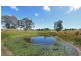 Cnr Eagles Road and McIvor Road, Harcourt North VIC 3453