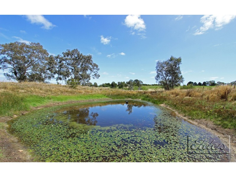 Cnr Eagles Road and McIvor Road, Harcourt North VIC 3453