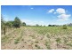 Cnr Eagles Road and McIvor Road, Harcourt North VIC 3453