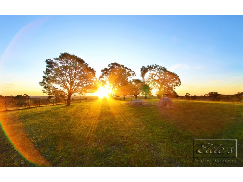 141 Moffatt Drive, Harcourt North VIC 3453