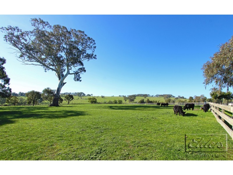 141 Moffatt Drive, Harcourt North VIC 3453