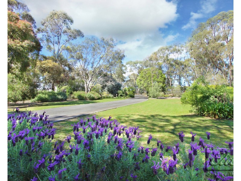 60 Belvoir Park Road, Ravenswood VIC 3453