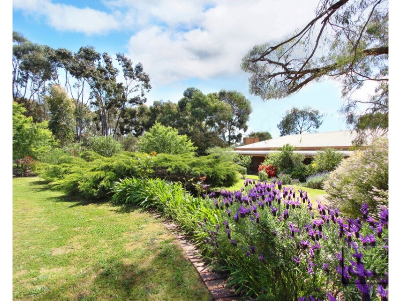 60 Belvoir Park Road, Ravenswood VIC 3453