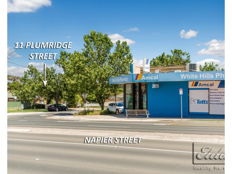 11 Plumridge Street, White Hills VIC 3550