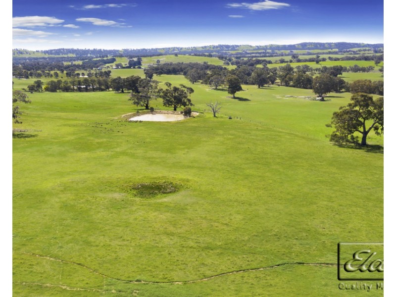 251 Pinjarra Drive, Lockwood South VIC 3551