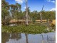 859 Burnewang Road, Burnewang VIC 3558