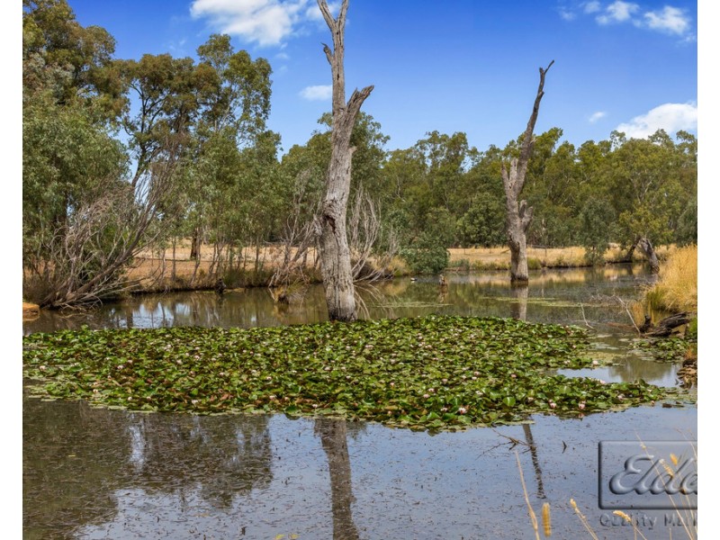 859 Burnewang Road, Burnewang VIC 3558