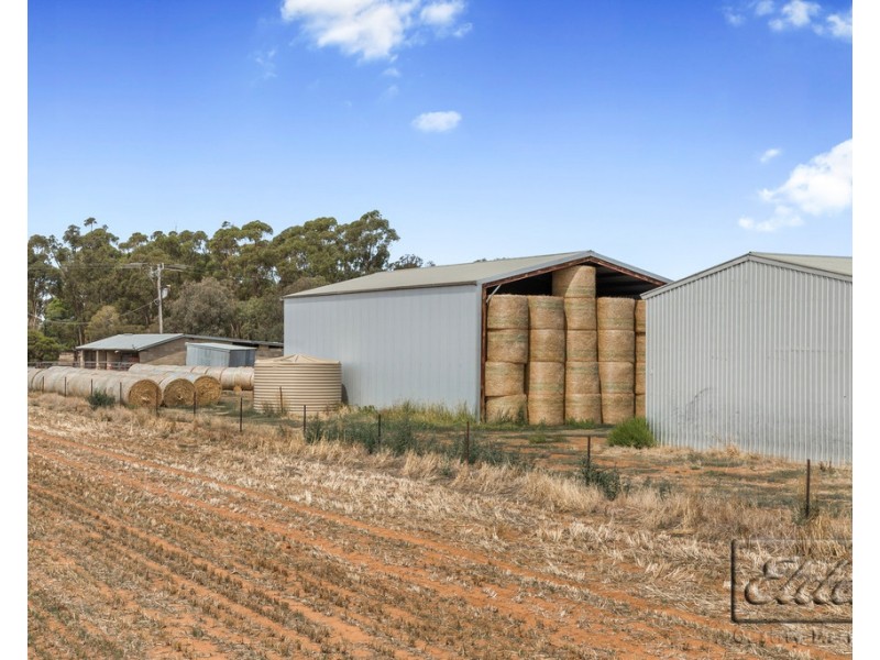 859 Burnewang Road, Burnewang VIC 3558