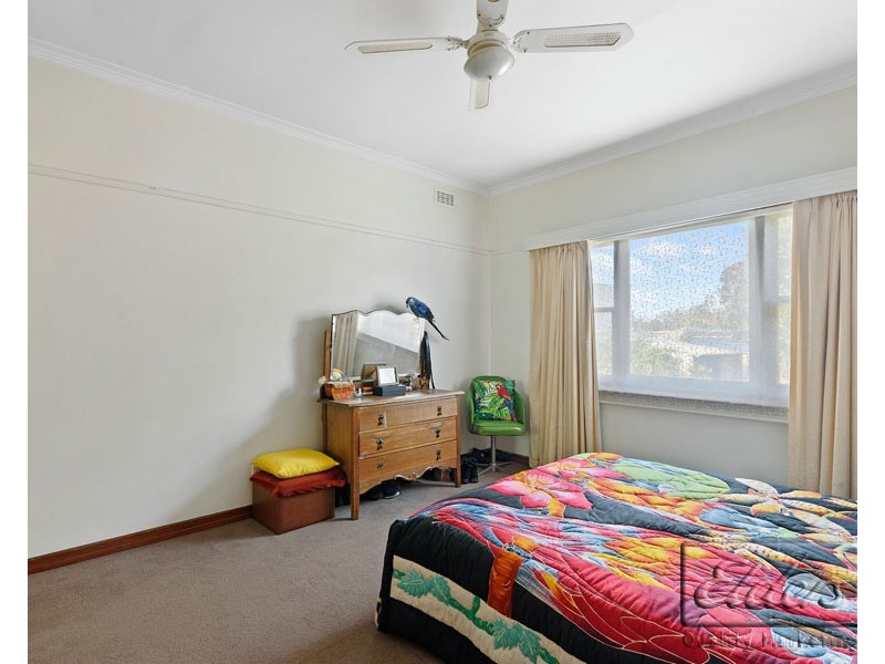 12 Thunder Street, North Bendigo VIC 3550