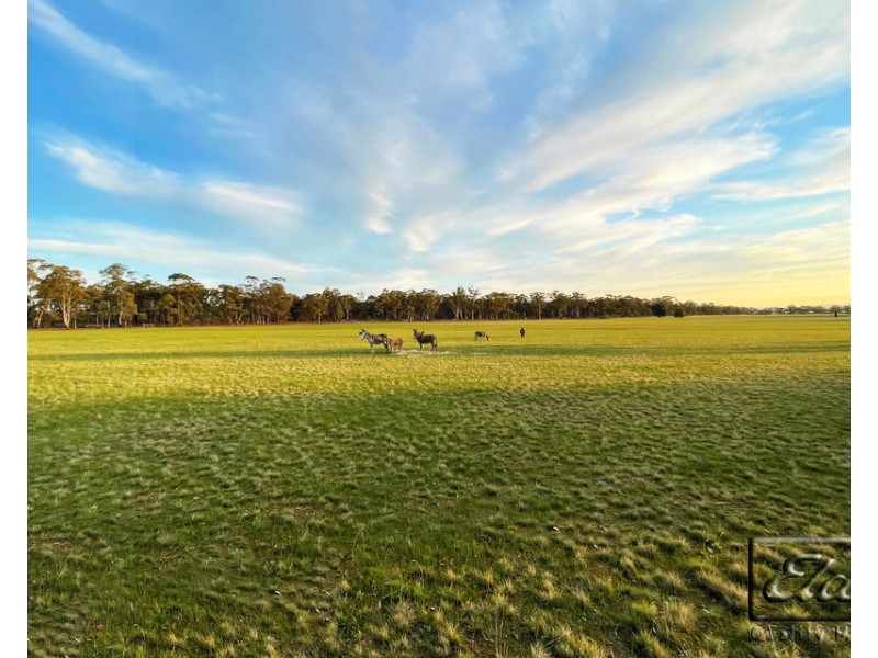 234 Nixons Road, Shelbourne VIC 3463