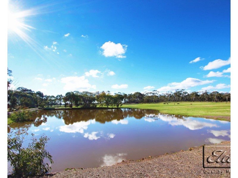 234 Nixons Road, Shelbourne VIC 3463