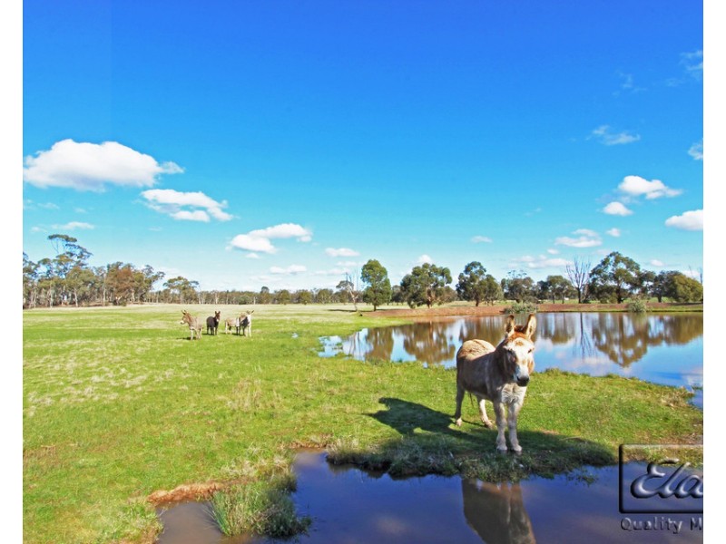 234 Nixons Road, Shelbourne VIC 3463
