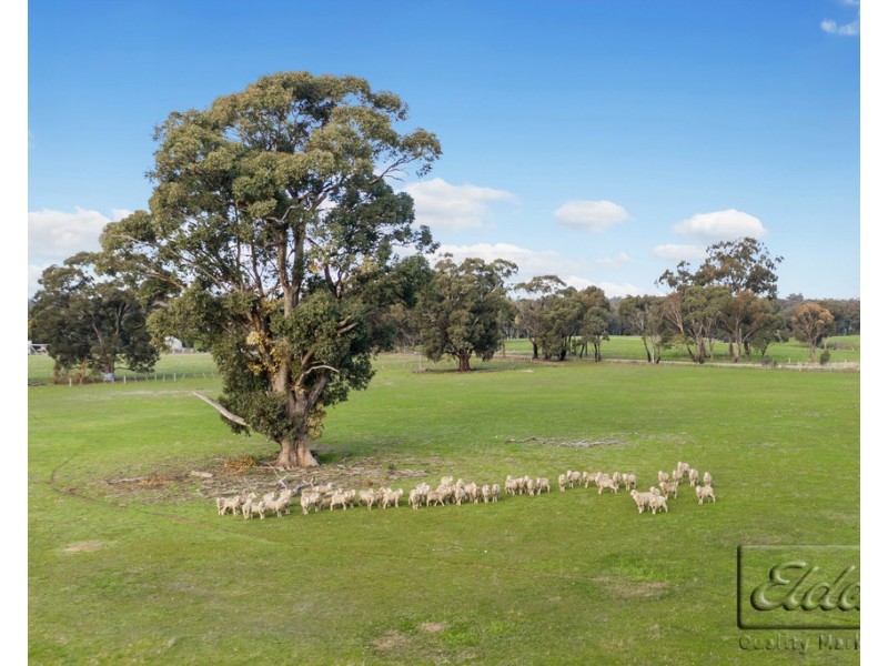 90 CANNY ROAD, Eppalock VIC 3551