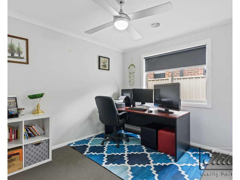 53 Sullivan Street, Ascot VIC 3551