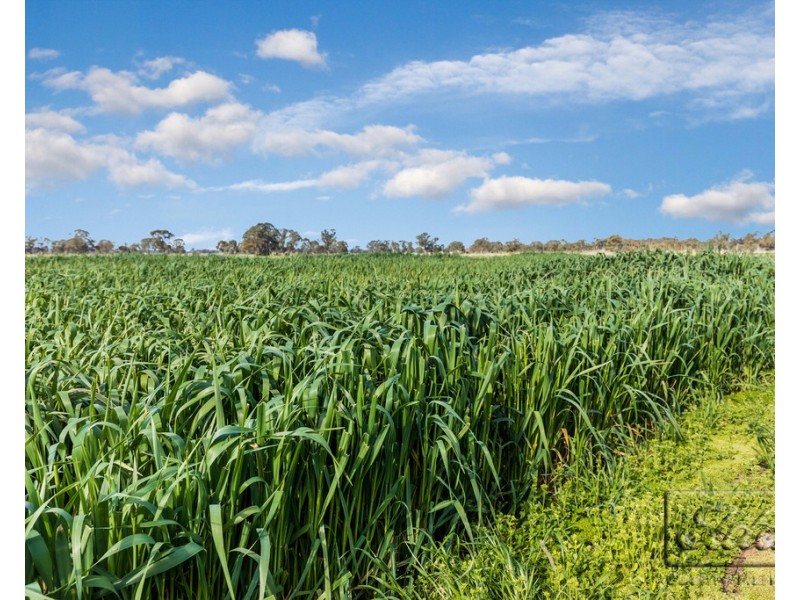 Lot 2C Kochs Road, Sebastian VIC 3556