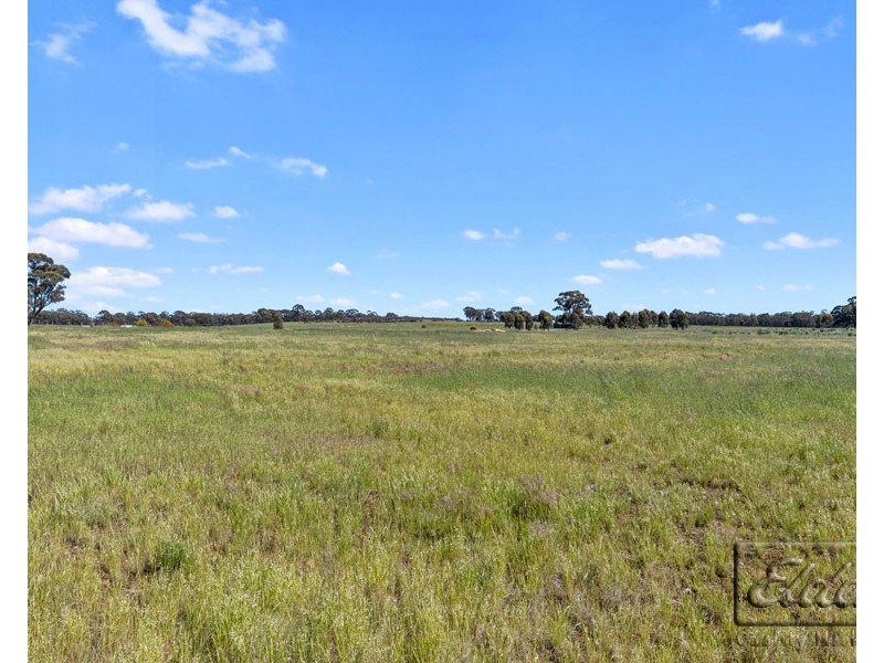 Lot 3B Arnold-Newbridge Road, Newbridge VIC 3551