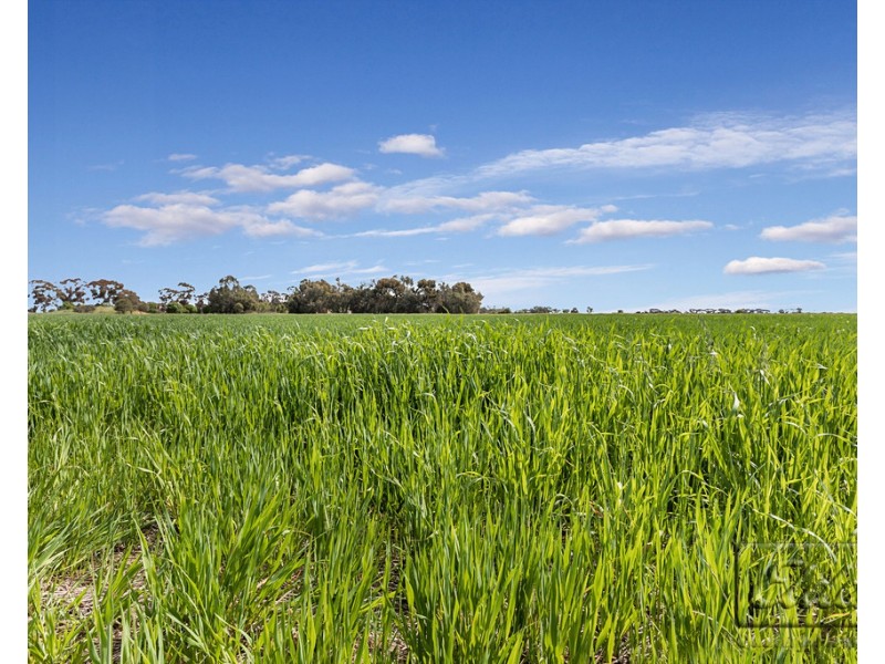 754 Dingee Road, Dingee VIC 3571