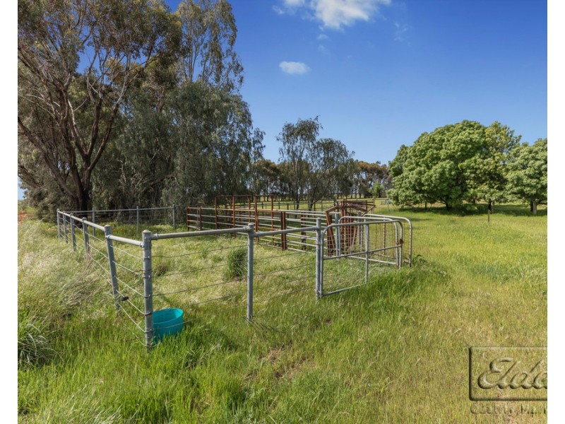 754 Dingee Road, Dingee VIC 3571