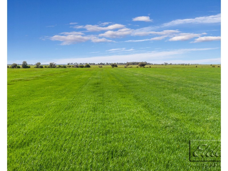 754 Dingee Road, Dingee VIC 3571